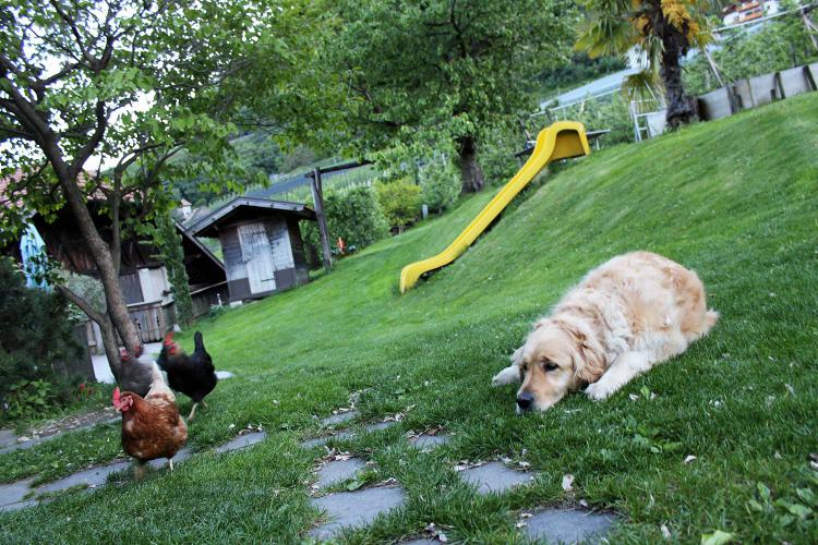 Garten mit Spielplatz