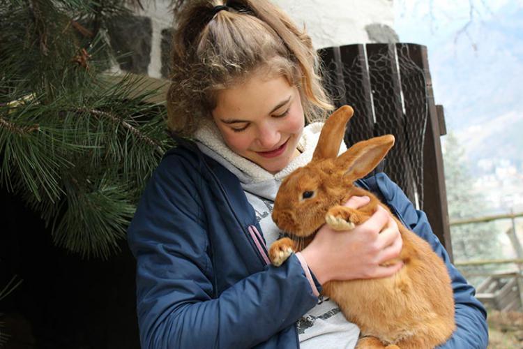 Tiere hautnah erleben