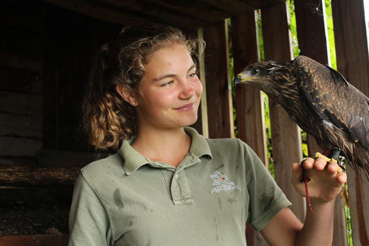 Pflegezentrum für Vogelfauna in Tirol