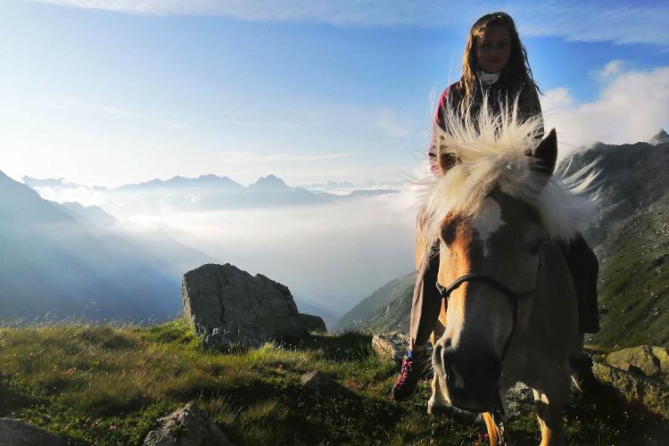 Wanderreiten in Südtirol