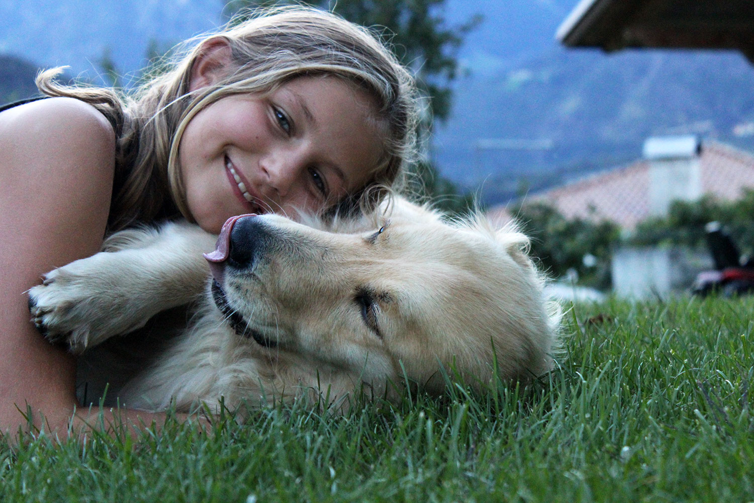 Il nostro cane Ronja