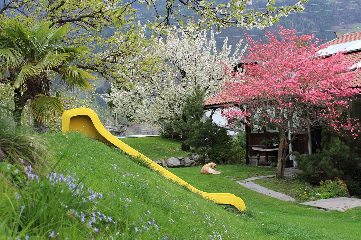 Giardino con parco giochi e prato