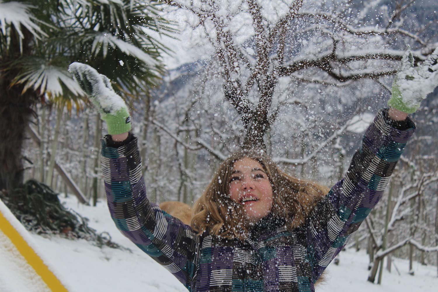 Winterferien am Moserhof in Marling bei Meran