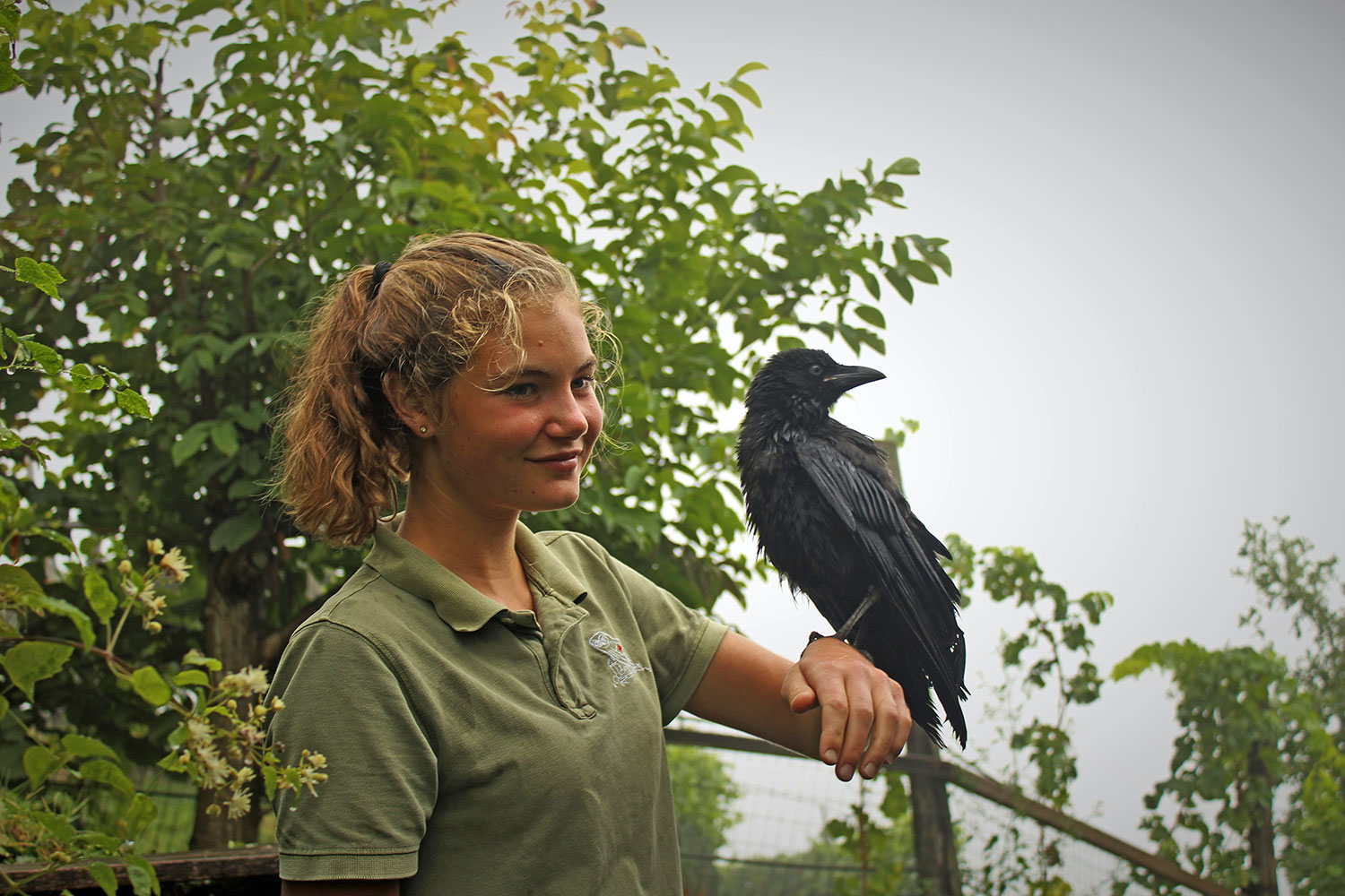 Pflegezentrum für Vogelfauna in Dorf Tirol