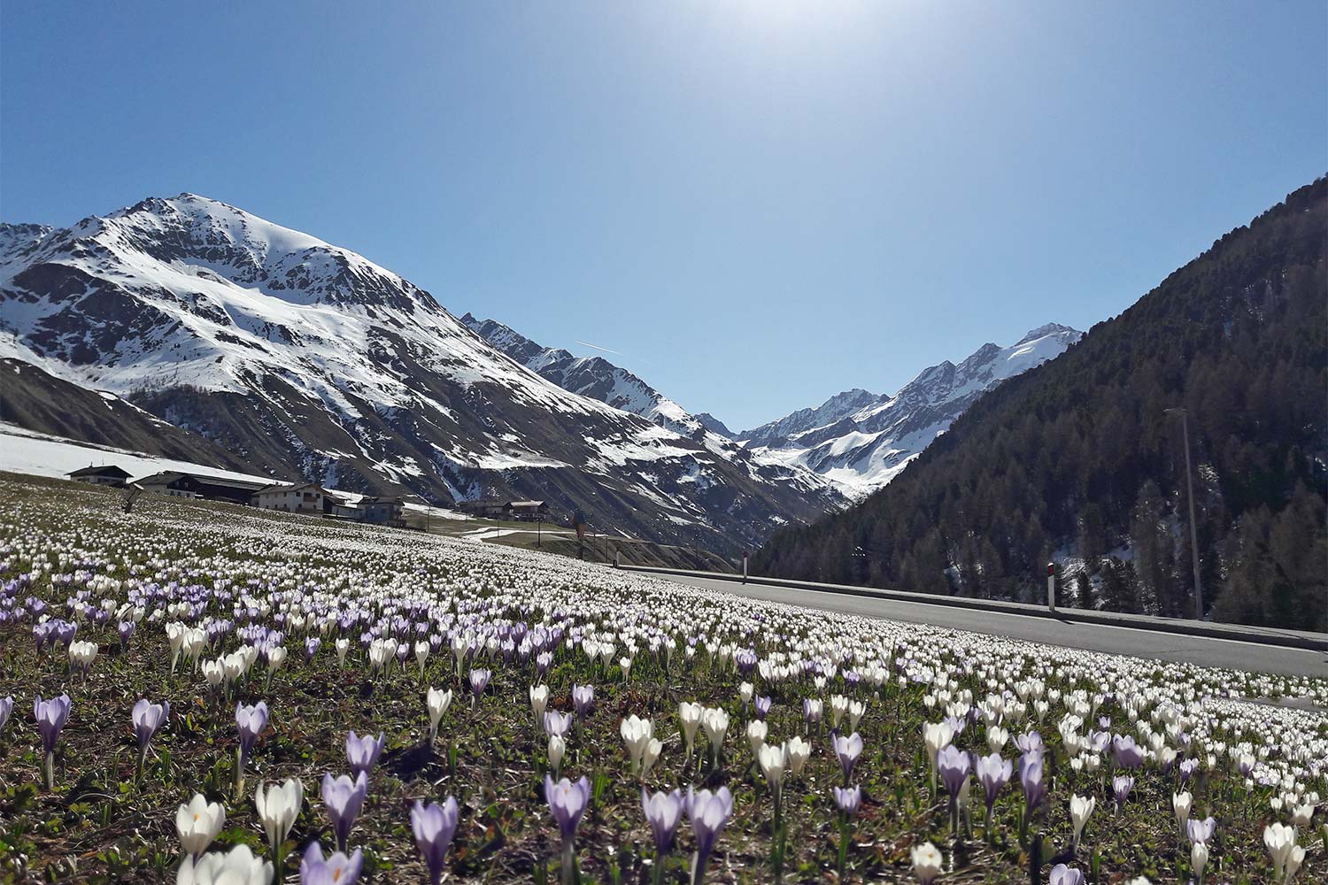 Primavera a Merano e dintorni